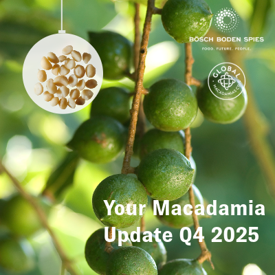 Newsletter Macadamia 1 3 - Macadamia Market Update Q4 2025