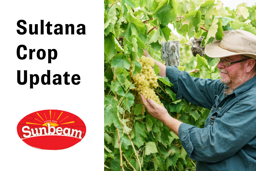 Sultana Crop Update January 2025
