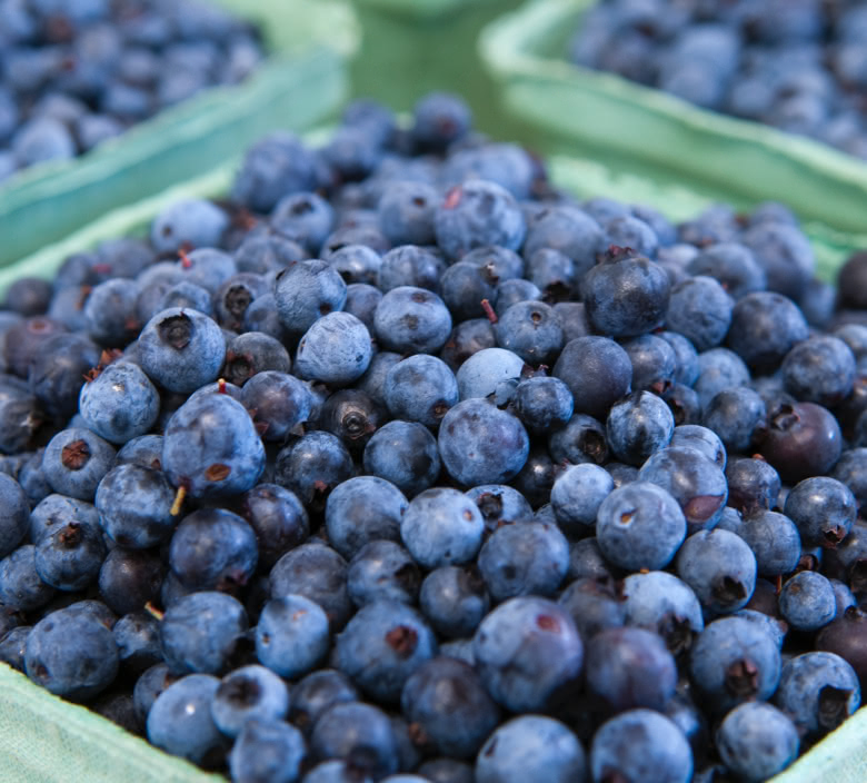 Blueberry, Blaubeere