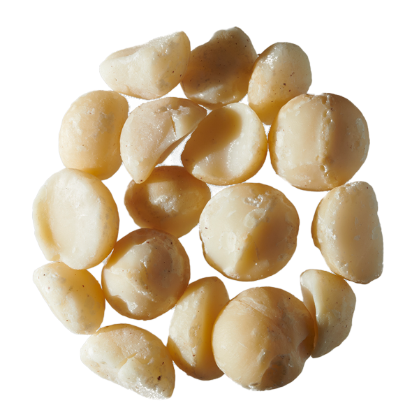 macadamia-style-2