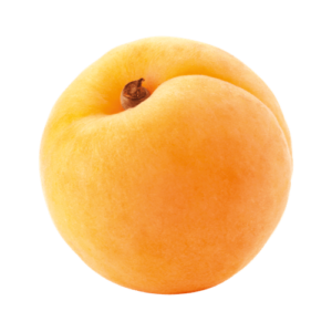 frische Aprikose
