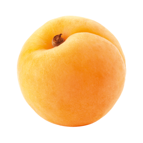frische Aprikose