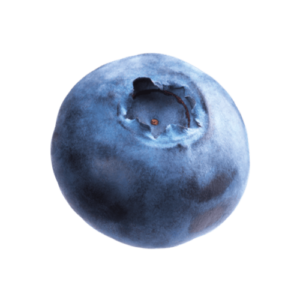 Blaubeere