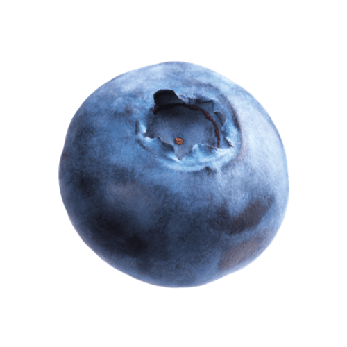 Blaubeere