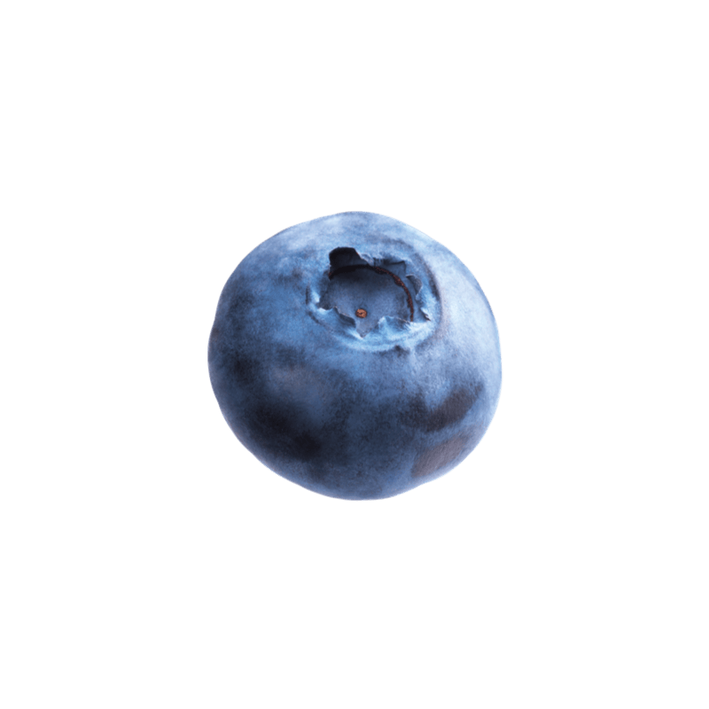 product-blueberry_small