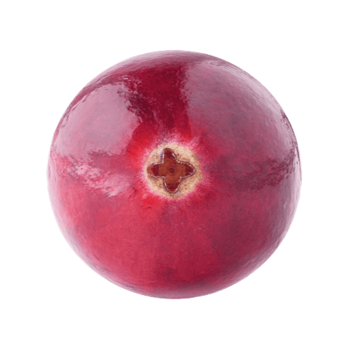 Cranberry