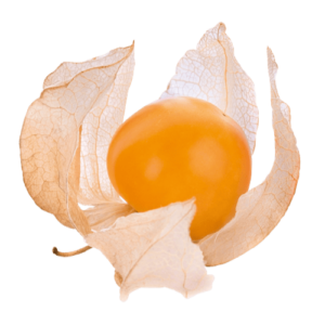 Frische Goldenberry Physalis