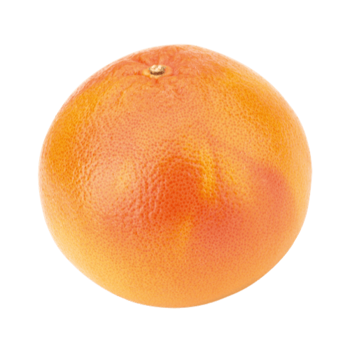 frische grapefruit