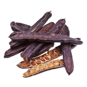 Geöffnete und ganze Johannisbrotbaum-Schoten mit sichtbaren Samen – Rohstoff für die Herstellung von Johannisbrotkernmehl (Locust Bean Gum)