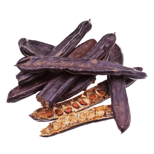 Geöffnete und ganze Johannisbrotbaum-Schoten mit sichtbaren Samen – Rohstoff für die Herstellung von Johannisbrotkernmehl (Locust Bean Gum)