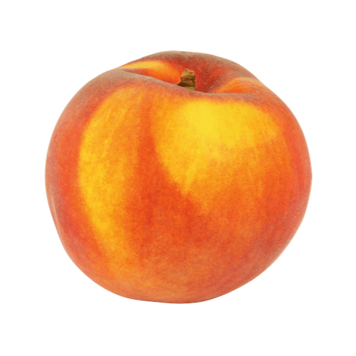 frischer pfirsich