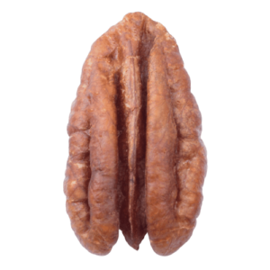 Pekannuss, pecan