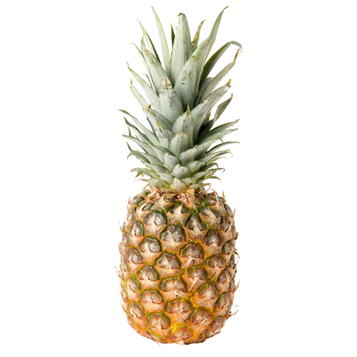Frische Ananas